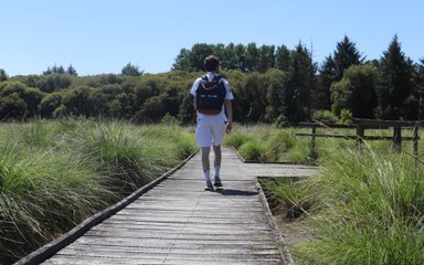 La balade de Julian et Merlin