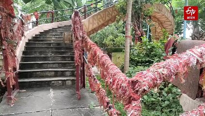 दिल्ली के इस मंदिर में एक साथ करें 12 ज्योतिर्लिंगों के दर्शन, यहां स्थापित हैं 111 शिवलिंग