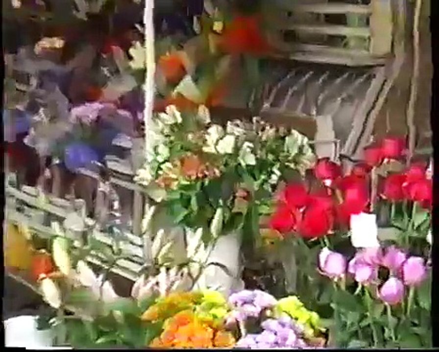 Ispisvane NA suleiman