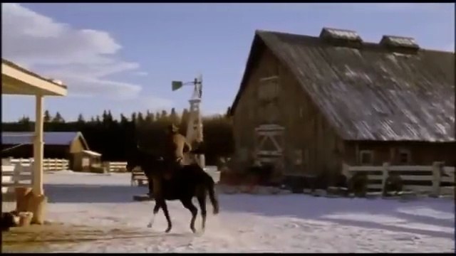 UN LEGADO DE AMOR / Serie EN EL VALLE DE LAS ROSAS SILVESTRES