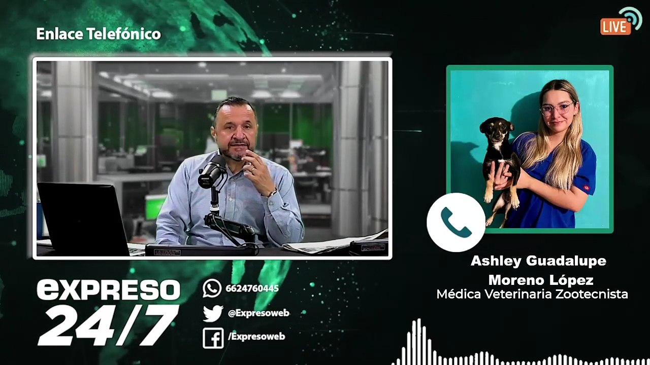 ¿Qué hacer si tu mascota sufre una quemadura?