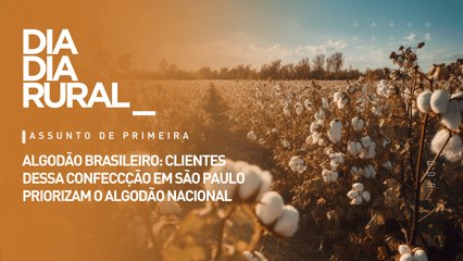 Algodão brasileiro: clientes dessa confecção em são paulo priorizam o algodão nacional