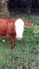 The consequences of using sunscreen only on the face