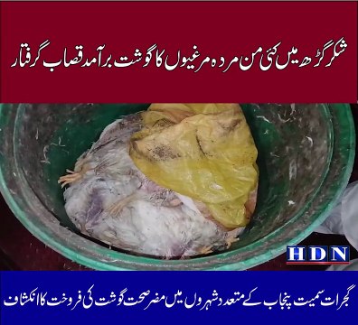 شکرگڑھ میں کئی من مردہ مرغیوں کا گوشت برآمد قصاب گرفتار گجرات سمیت پنجاب کے متعدد شہروں میں مضر صحت گوشت کی فروخت کا انکشاف