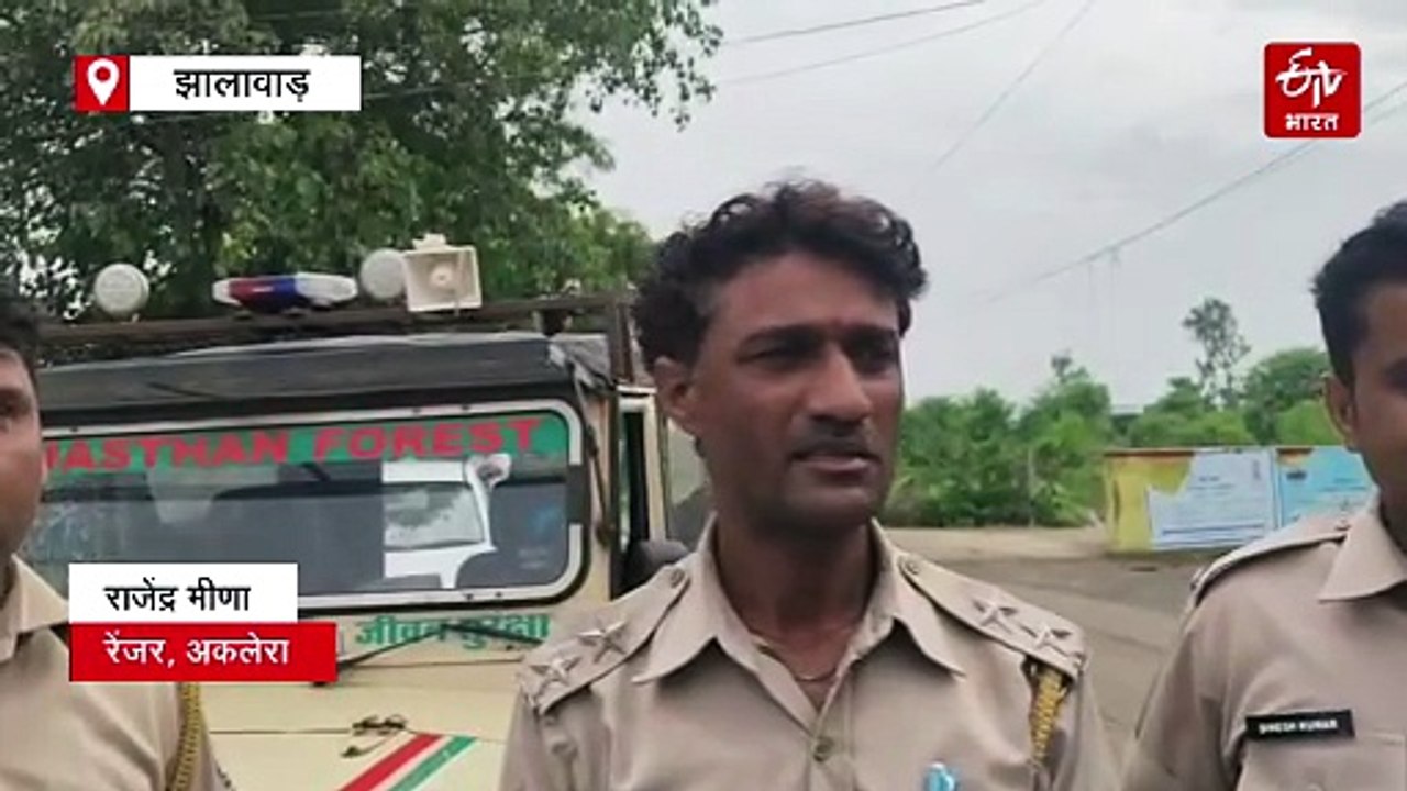 अतिक्रमण हटाने पहुंची वन विभाग की टीम पर हमला, 7 वनकर्मी जख्मी