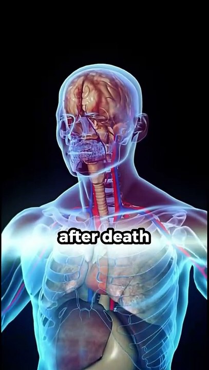 5 Creepy Facts About the Human Body You Never Knew #facts #amazingfacts #shorts #interestingfacts