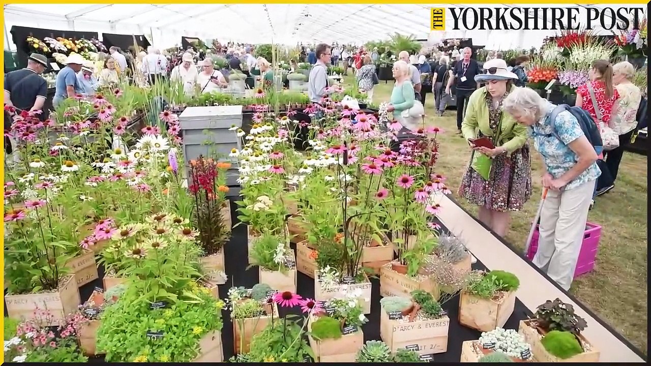 RHS Flower Show Wentworth Woodhouse - video Dailymotion
