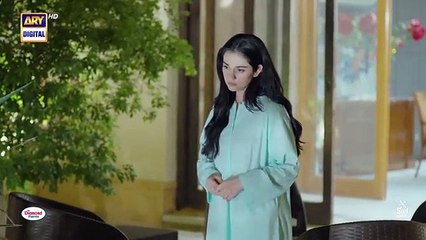 Sher Episode 17 Danish Taimoor Sarah_Khan___16_July_2025_[ENG_SUB]___ARY_Digital_Drama(360p)