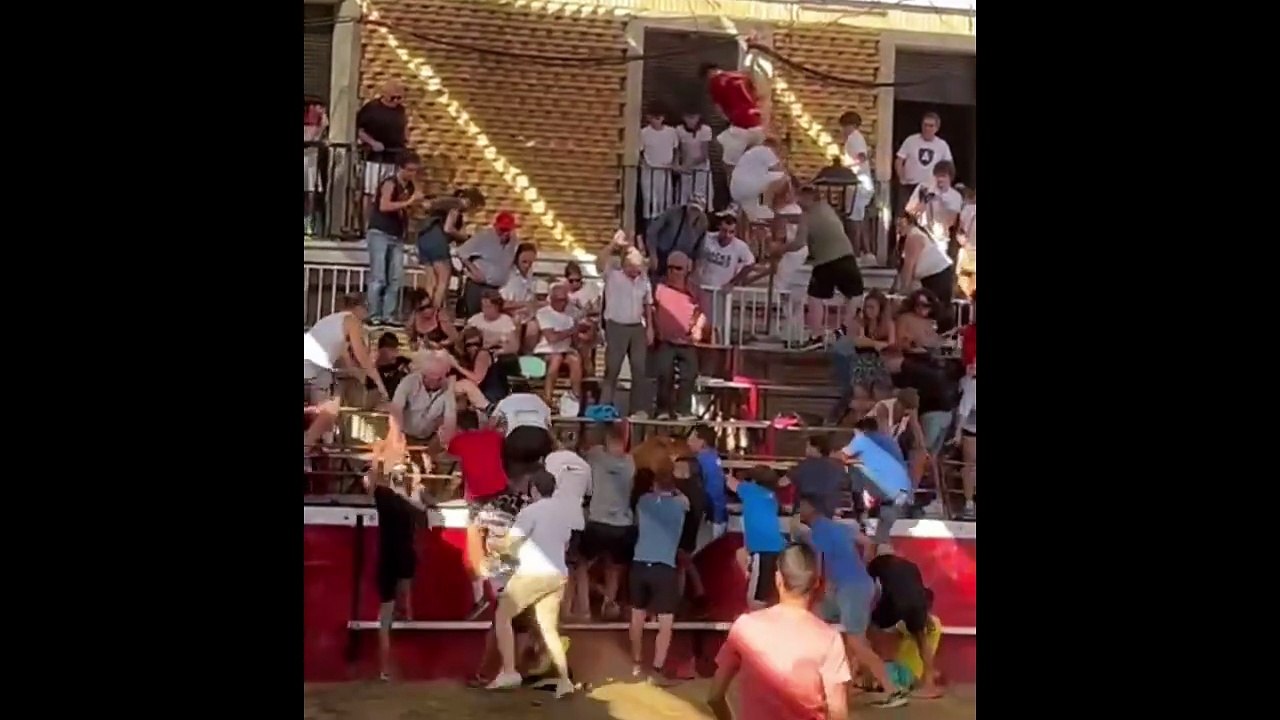 Un toros salta al tendido en Cadredita