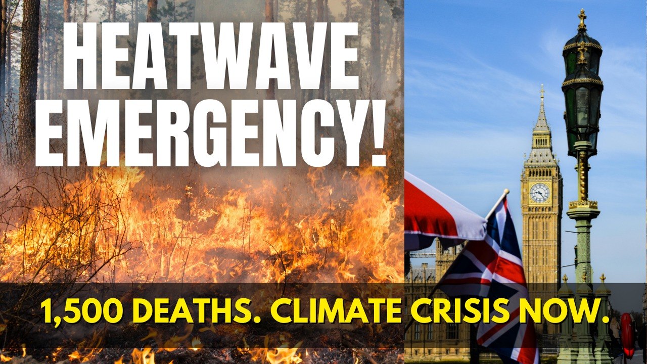 Europe Is Burning: Record Heatwaves Turn Deadly