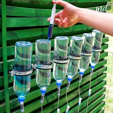 Easiest self watering system for your plants