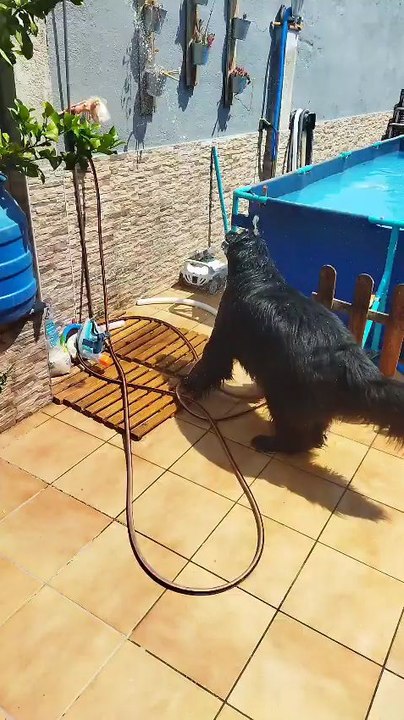 un buen baño ..!!