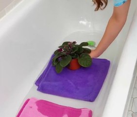 Smart Plant Hacks for a Lush, Thriving Garden