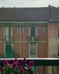 🐱🧱 Ce chat est en mode : "Depuis combien de temps tu vis de l’autre côté de mon mur ??" 😭 — Bennynazareth via ViralHog