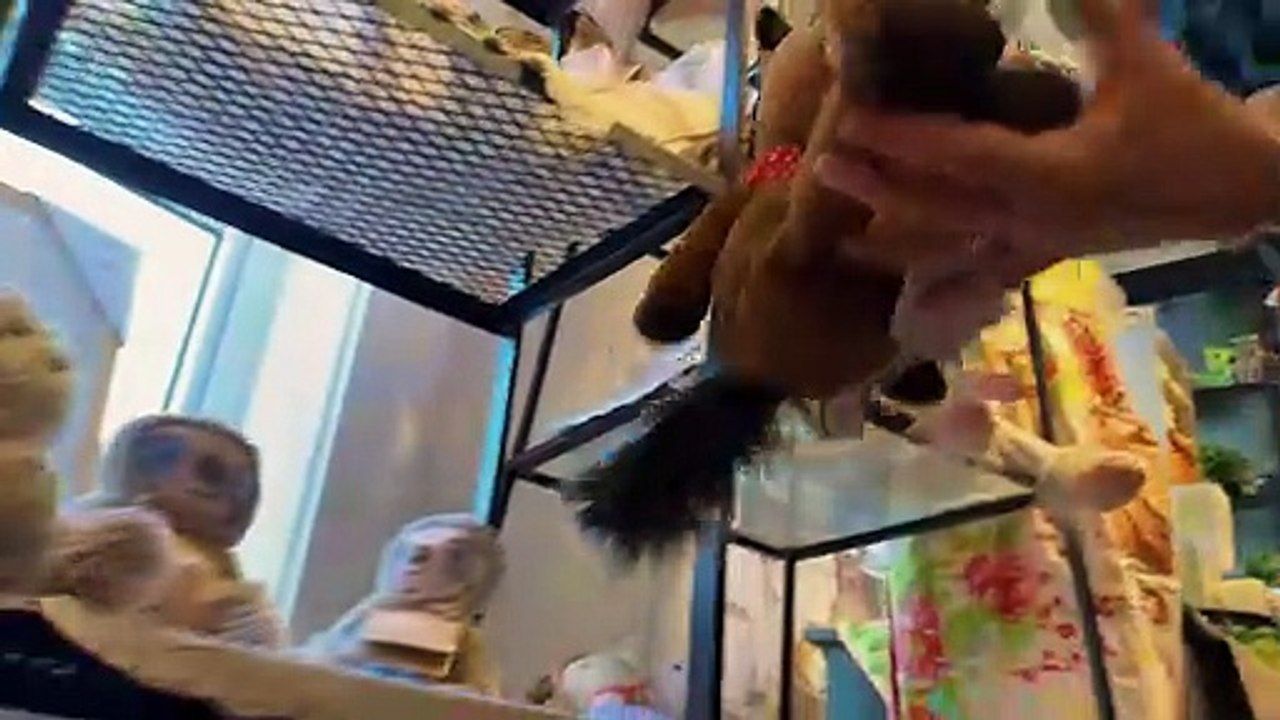 La Tête de l'Emploi | Les Petits Bonheurs de Marguerite à Saint-Alexandre-de-Kamouraska