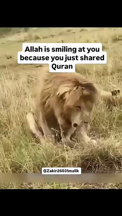 LION expire moment by snake.