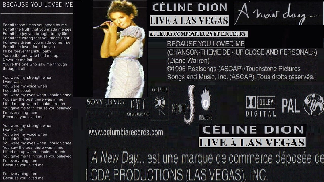 CELINE DION — BECAUSE YOU LOVED ME