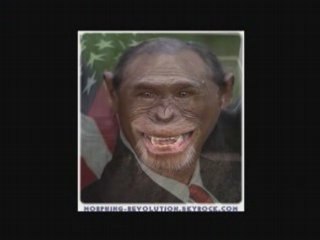 Bush en singe morphing