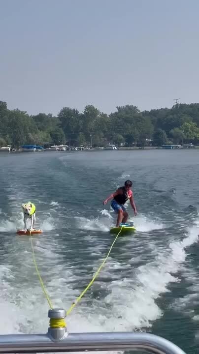 Dog Wakeboards