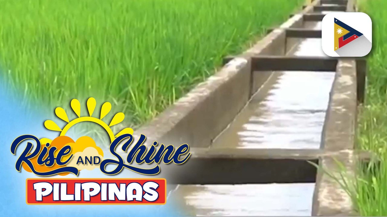 Mga programa para sa climate resilience na mga pananim, pinaiigting pa ng Administrasyong Marcos Jr.