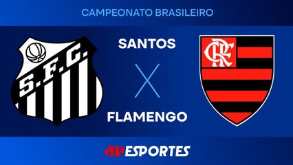 Santos Wins 1-0 Against Flamengo in Brasileirão Match ⚽ (16/07/2025)