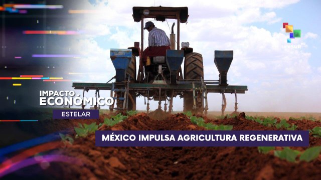 México impulsa técnicas de agricultura regenerativa IMPACTO ECONÓMICO ESTELAR 16-07-2025