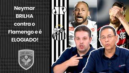 "Cara, o Neymar MOSTROU contra o Flamengo que..." GOL DECISIVO pelo Santos PROVOCA DEBATE!