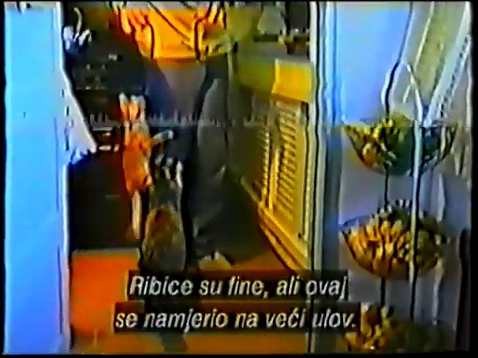 Skrivena kamera -  Šaljive nezgode