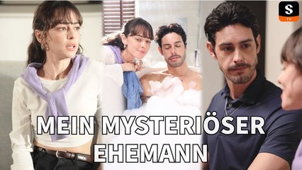 Zusammenstoß mit meinem Magnaten Ex