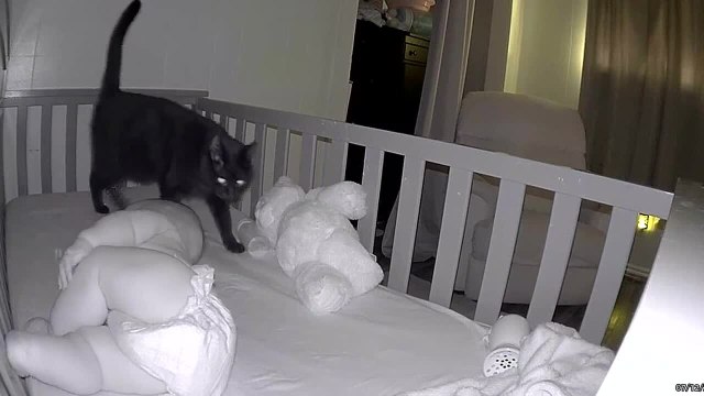 Cat Soothes Baby as he Starts Crying After Waking up