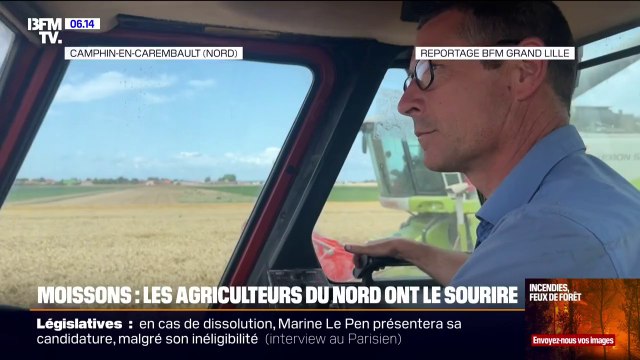 Il y aura une bonne quantité et une bonne qualité sur la parcelle : après la moisson désastreuse de 2024, les agriculteurs céréaliers ont le sourire