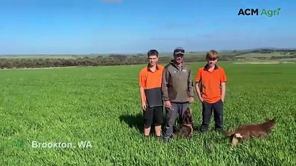 Maximus barley crop shows strong progress for Brookton growers