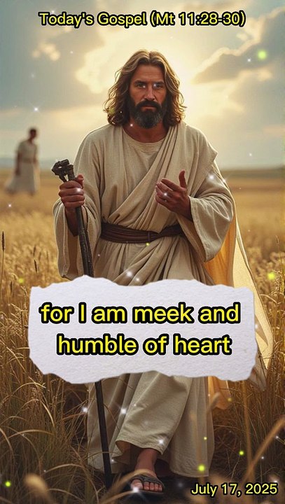 Today's Gospel (Mt 11:28-30)