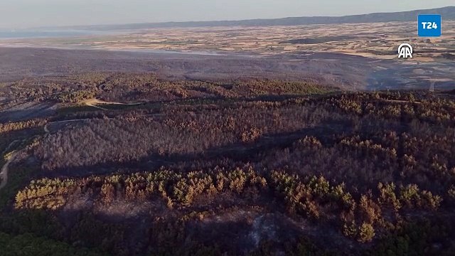 Tekirdağ'da çıkan orman yangını kısmen kontrol altına alındı, zarar gören alanlar görüntülendi