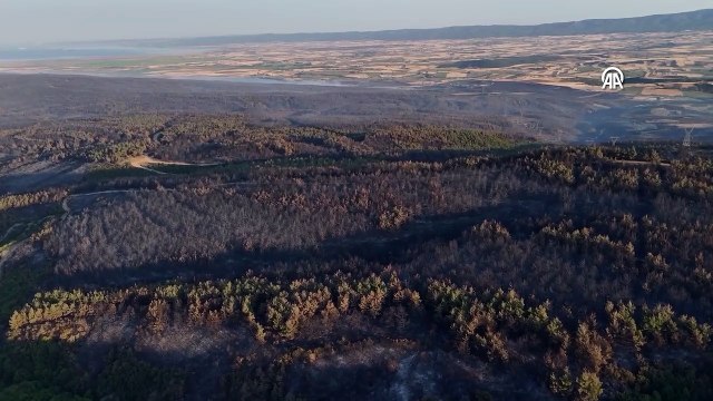 Tekirdağ'da çıkan orman yangını kısmen kontrol altına alındı