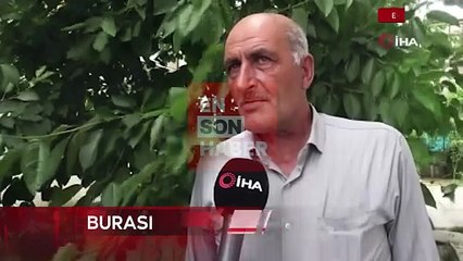 Erzurum'da mandaların dere içindeki banyo keyfi