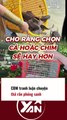 CĐM tranh luận chuyện thả rắn phóng sinh