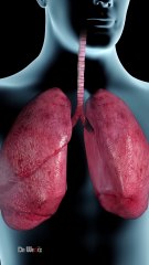 How Exactly Does Smoking Affect the Body