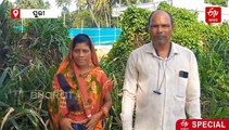 ବ୍ରହ୍ମଗିରିର 14 ଗାଁର 170 ଚାଷୀଙ୍କ ଜୈବିକ କୃଷି, କମ୍‌ ଖର୍ଚ୍ଚ ଅଧିକ ଲାଭ