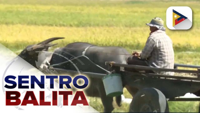 Kapakanan at karapatan ng mga magsasaka, tinututukan ng administrasyon ni PBBM sa harap ng pagkamit ng bansa ng food security