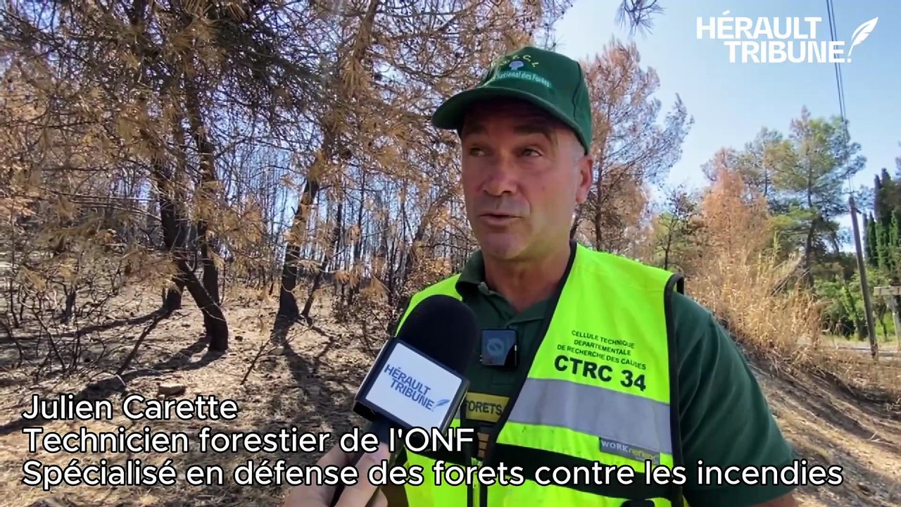 Au cœur de la cellule d’enquête sur les incendies de forêt de l'Hérault