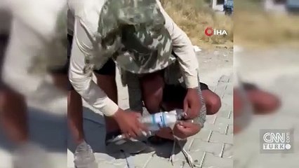 Adıyaman’da sıcaktan bayılan leyleği köylüler kurtardı