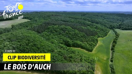 Le bois d'Auch - Tour de France 2025