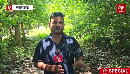 नैनीताल के चोपड़ा गांव के पत्थरों में छिपी है पौराणिक कहानी, ग्रामीण मानते हैं महाभारत कालीन शिलापट्ट