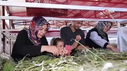 Kentin en büyük ''beyaz altın'' çiftliğini kurdu: Onlarca üreticiye ilham oldu!