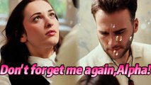 Don't forget me again, Alpha! - FULL #drama #short #shortdrama
