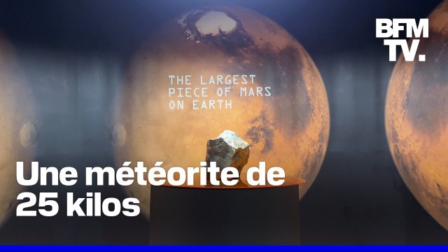 La plus grosse météorite de Mars vendue aux enchères à 5,3 millions de dollars