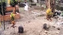mando,a di pusaro