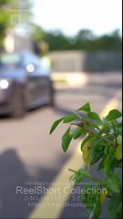 Over And Done - Full Movie (2025)