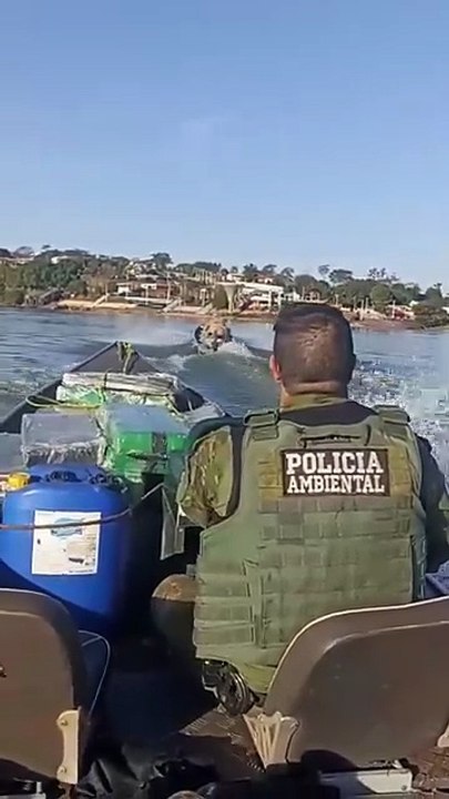 Operação apreende mais de 1,3 tonelada de drogas em ilha do Rio Paraná, em Icaraíma